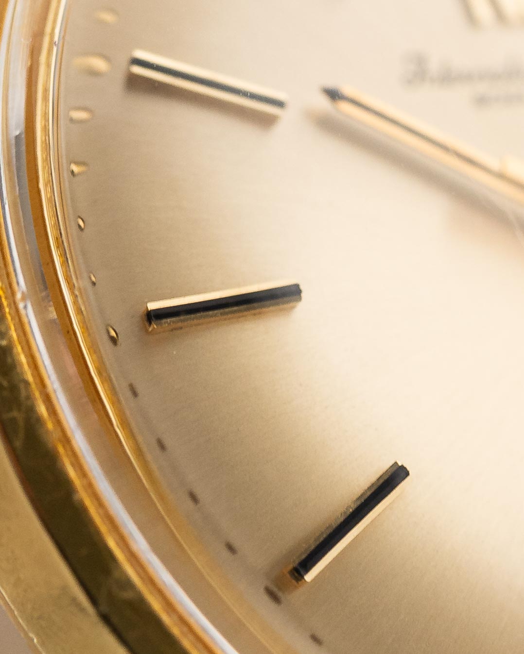 Royal Knight's Command G98s (7-A Quality)